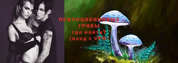 СК Богданович