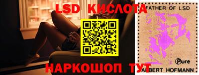 прущие грибы Уссурийск
